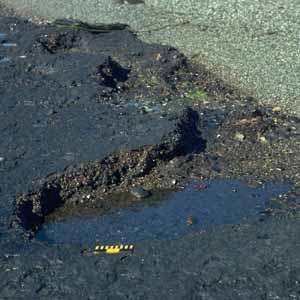 Oil on Hard Surfaces